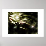 zephyr posters