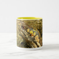 Zeppe 01 mugs