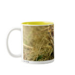 Zeppe 01 mugs