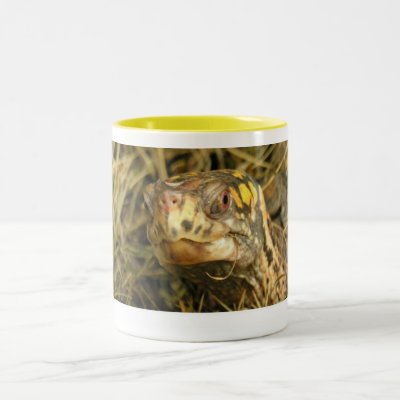 Zeppe 02 Mug by turtletails