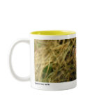 Zeppe 02 mugs