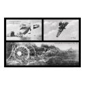 Zeppelin Dirigible Wreck 1908 posters