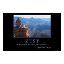 Zest posters