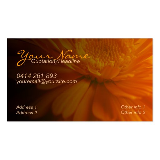 ZeSTiVE Business & Personal Card Business Card Template (front side)