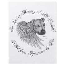 Zeus angel flyer