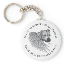 Zeus angel keychain