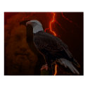 Zeus ' eagle posters by nefera Zeus ' eagle posters