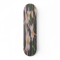 Zhao Hua Hua Skateboard