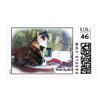 Ziggy postage by billg831 Ziggy postage
