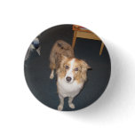Zigmund Thaddeus Baudelaire Pinback Buttons