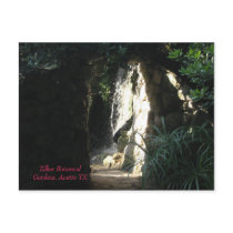 Zilker Botanical Gardens, Austin TX postcards by silvapagan Zilker Botanical Gardens, Austin TX postcards