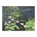 Zilker Park Lillies posters