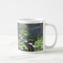 Zilker's Isamu Tanguchil Oriental Garden.,... mugs