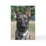 Zille Greeting Card