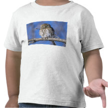 Zimbabwe. Close-up of pearl spotted owl on T Shirt