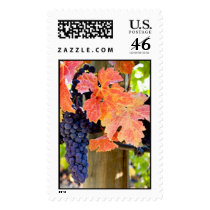 Zinfandel postage
