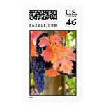 Zinfandel postage