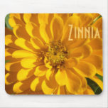 Zinnia amarillo de oro a1 alfombrillas de ratón