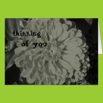 Zinnia Blank Card cards