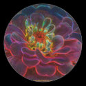 Zinnia Digital Art Flower Photo Sticker Label by SmilinEyesTreasures Zinnia Digital Art Flower Photo Sticker Label