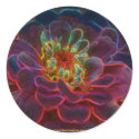 Zinnia Digital Art Flower Photo Sticker Label