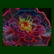 Zinnia Fantasy Flower Art Poster posters