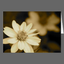 Zinnia in Sepia Card cards