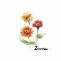 Zinnia Long-Sleeved Shirt by linfrye Zinnia Long-Sleeved Shirt