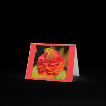 Zinnia Notecard by alyciakeating Zinnia Notecard