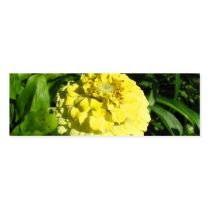 Zinnia Photograph Business Cards