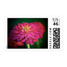 Zinnia Postage
