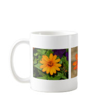 Zinnia Profusion Orange mugs