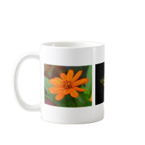 Zinnia Profusion Orange mugs