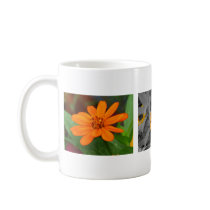 Zinnia Profusion Orange mugs