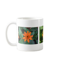 Zinnia Profusion Orange mugs