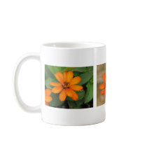 Zinnia Profusion Orange mugs