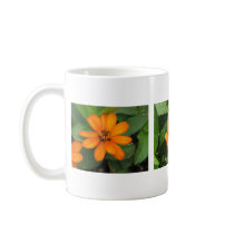Zinnia Profusion Orange mugs