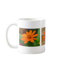 Zinnia Profusion Orange mugs