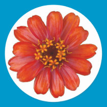 Zinnia Sticker stickers