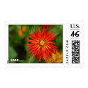 Zinnias postage by thartkem Zinnias postage