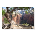 Zion - Angels Landing posters by pepethepuppet Zion - Angels Landing posters