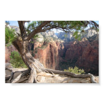 Zion - Angels Landing posters