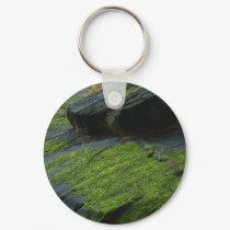 Zion Canyon Moss keychains