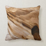 Zion Canyon Wall Pillow
