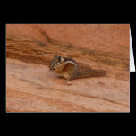 Zion Chipmunk Card