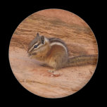 Zion Chipmunk Magnet