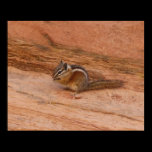 Zion Chipmunk Poster Print