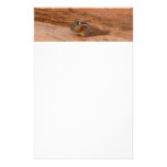 Zion Chipmunk Stationery