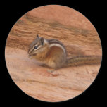 Zion Chipmunk Sticker