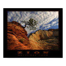 Zion Lone Tree Poster posters
